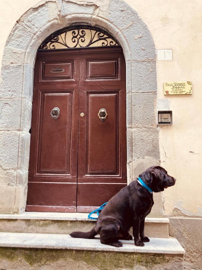 Casa Vacanze Beppina Cortona Dış mekan fotoğraf